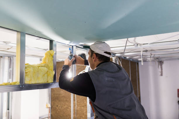 Best Spray Foam Insulation in Newark, NY