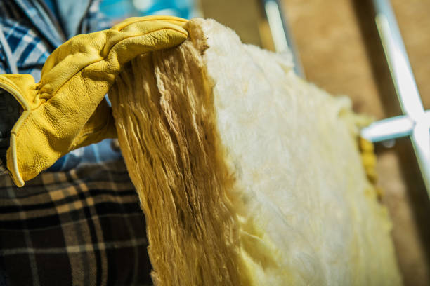 Best Geographic-Specific Insulation Services in Newark, NY