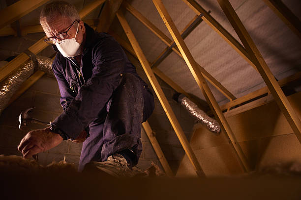 Types of Insulation We Offer in Newark, NY