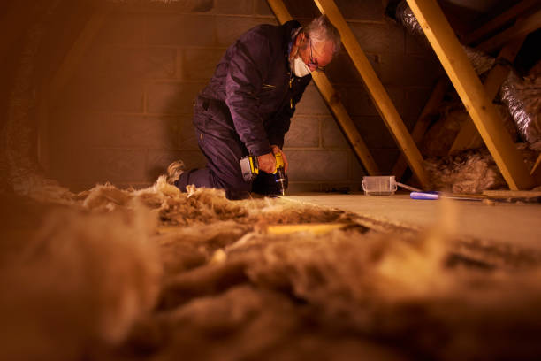 Best Cellulose Insulation in Newark, NY